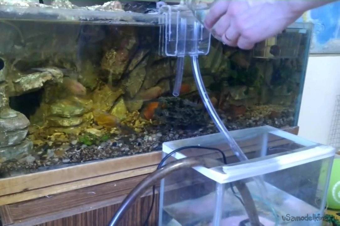 Вода для рыбок в аквариуме (основные показатели и характеристики)