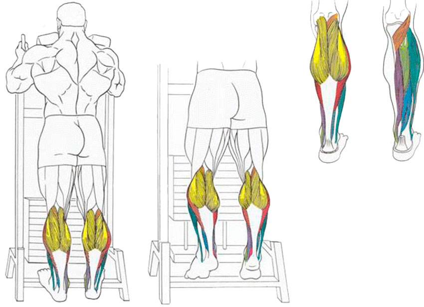 Комплекс упражнений для худых ног