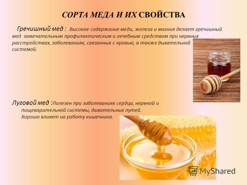 Миндальный мед: состав, польза, рецепты