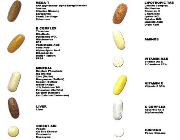 Состав, схема приема и побочные эффекты витаминов animal pak от universal nutrition