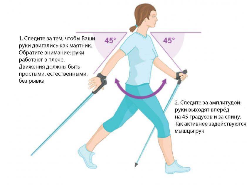Скандинавская ходьба: пошаговая техника для начинающих
