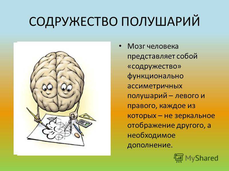 Расстройство полушарий. Полушария мозга. Два полушария мозга. Развитые полушария мозга. Левое полушарие мозга.