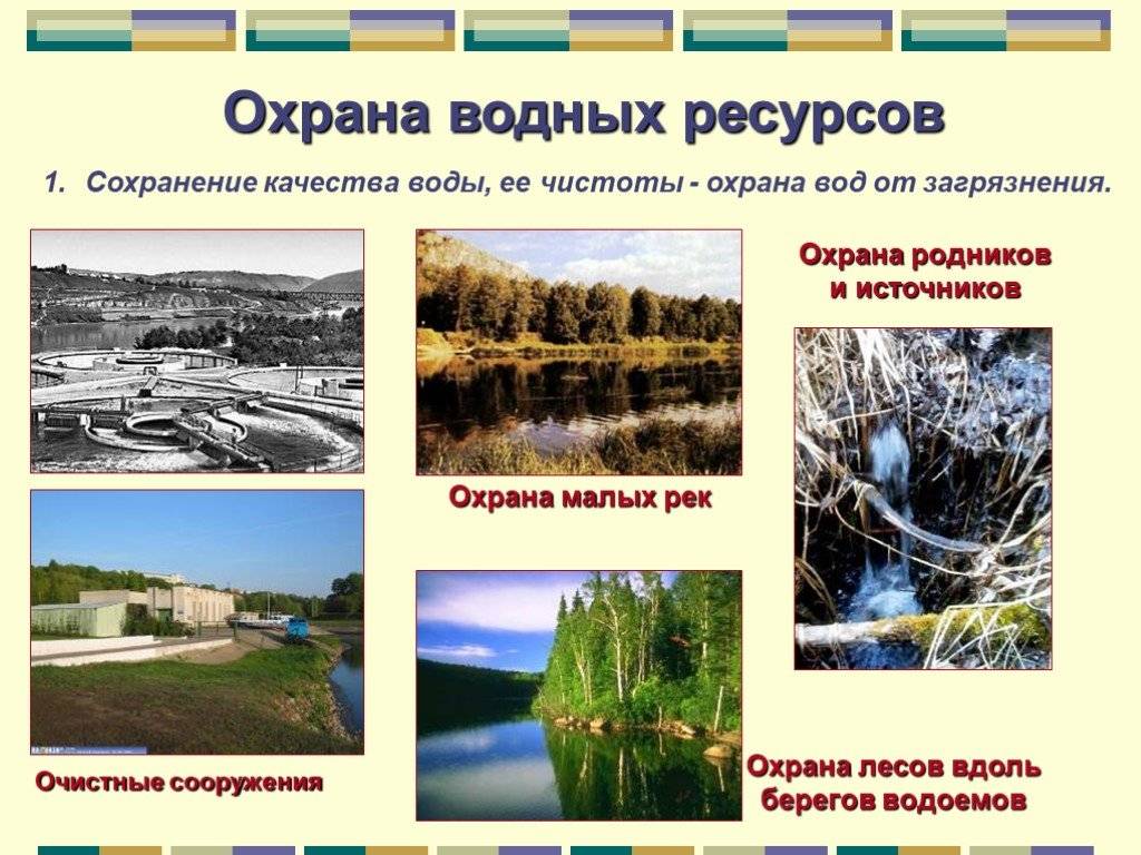 Что люди делают для охраны рек от вредного влияния антропогенной деятельности? :: syl.ru