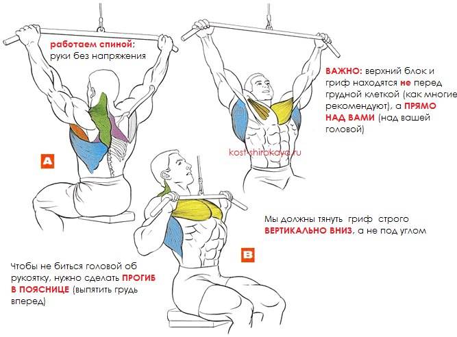 Тяга верхнего блока за голову: правильная техника выполнения | rulebody.ru — правила тела
