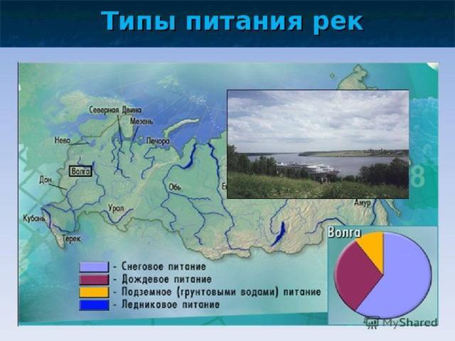 Хозяйственное использование реки амазонки: основные направления :: syl.ru