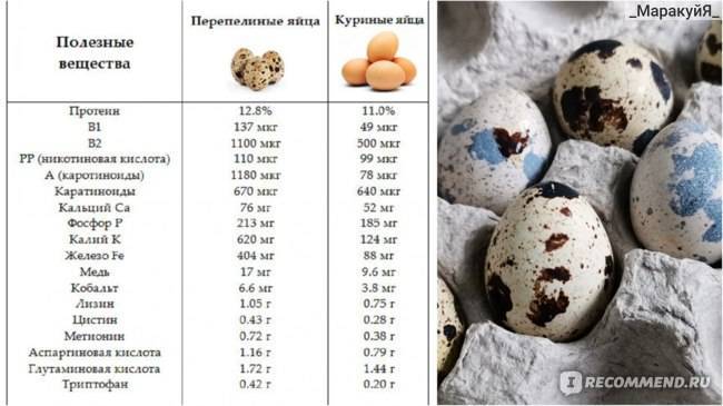 Сколько яиц можно съедать в день без ущерба для здоровья