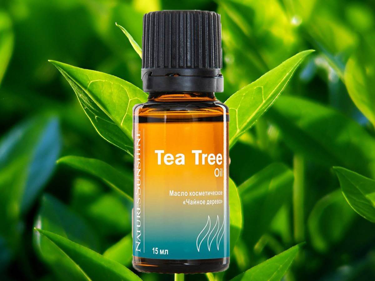 Tea tree. Эфирное масло чайного дерева. Масло чайного дерева НСП. Масло чайного дерева NSP. Масло чайного дерева (Melaleuca alternifolia).