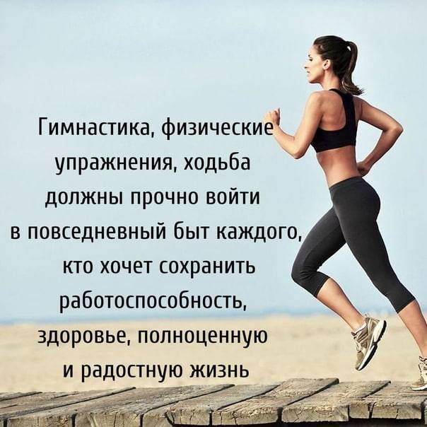 Кардио тренировка: дома и в зале для сжигания жира