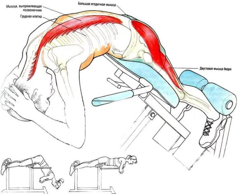 Как правильно делать гиперэкстензию на полу чтобы не травмировать спину?