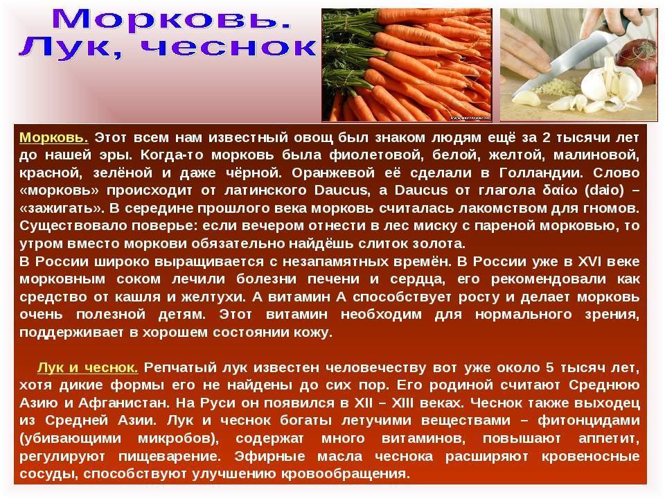 Морковь: польза и вред для организма. состав, лечебные свойства и отзывы