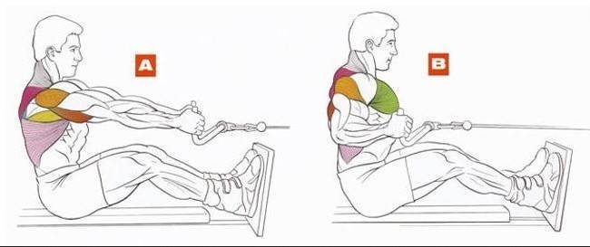 Горизонтальная тяга в блочном тренажере: техника выполнения упражнений на спину сидя
