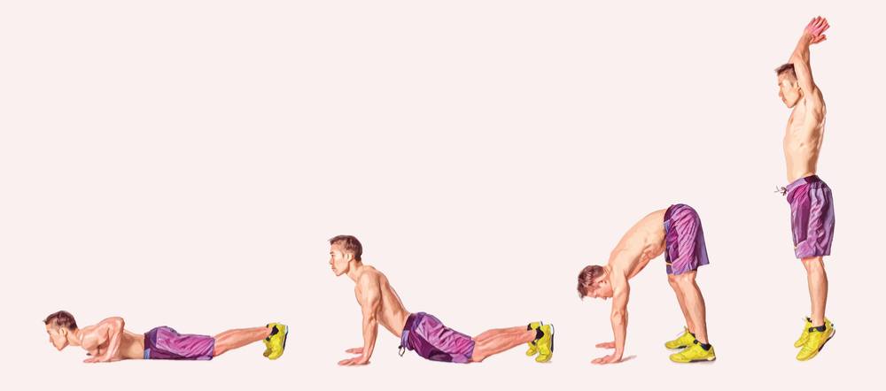 Упражнение берпи – интенсивная тренировка для всего тела