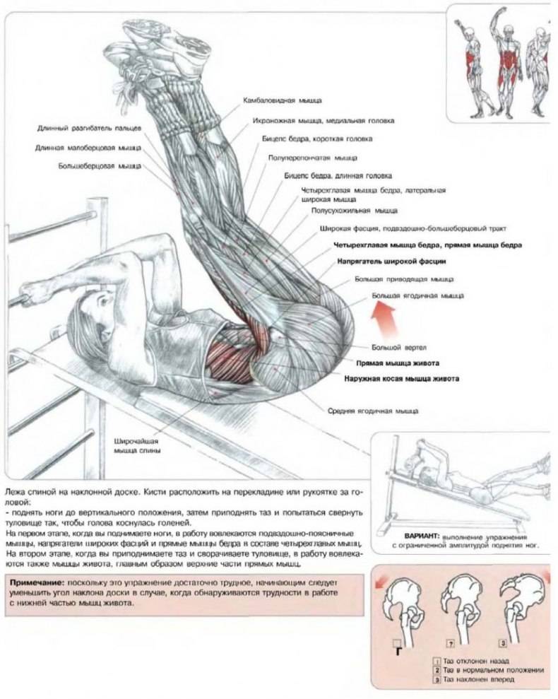 Подъем ног на наклонной скамье: техника выполнения, рекомендации - tony.ru