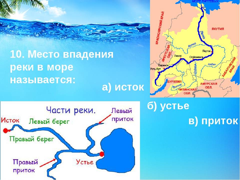 Енисей — река, притоки, исток, устье, бассейн, россия, течение, описание, куда впадает, длина - 24сми