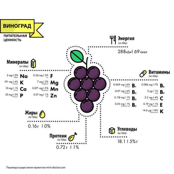 Красный виноград: полезные свойства и противопоказания