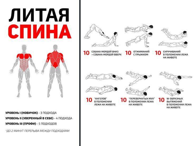 Программа тренировок на спину: готовый сплит на 7 дней + советы как накачать широкую спину (схемы и фото)