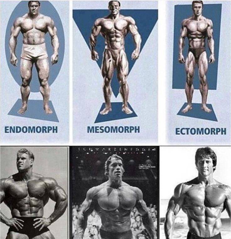Как точно определить тип телосложения мужчин и что это дает?