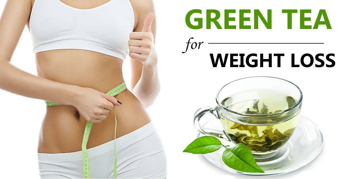 Зеленый чай способствует похудению? правда или миф?