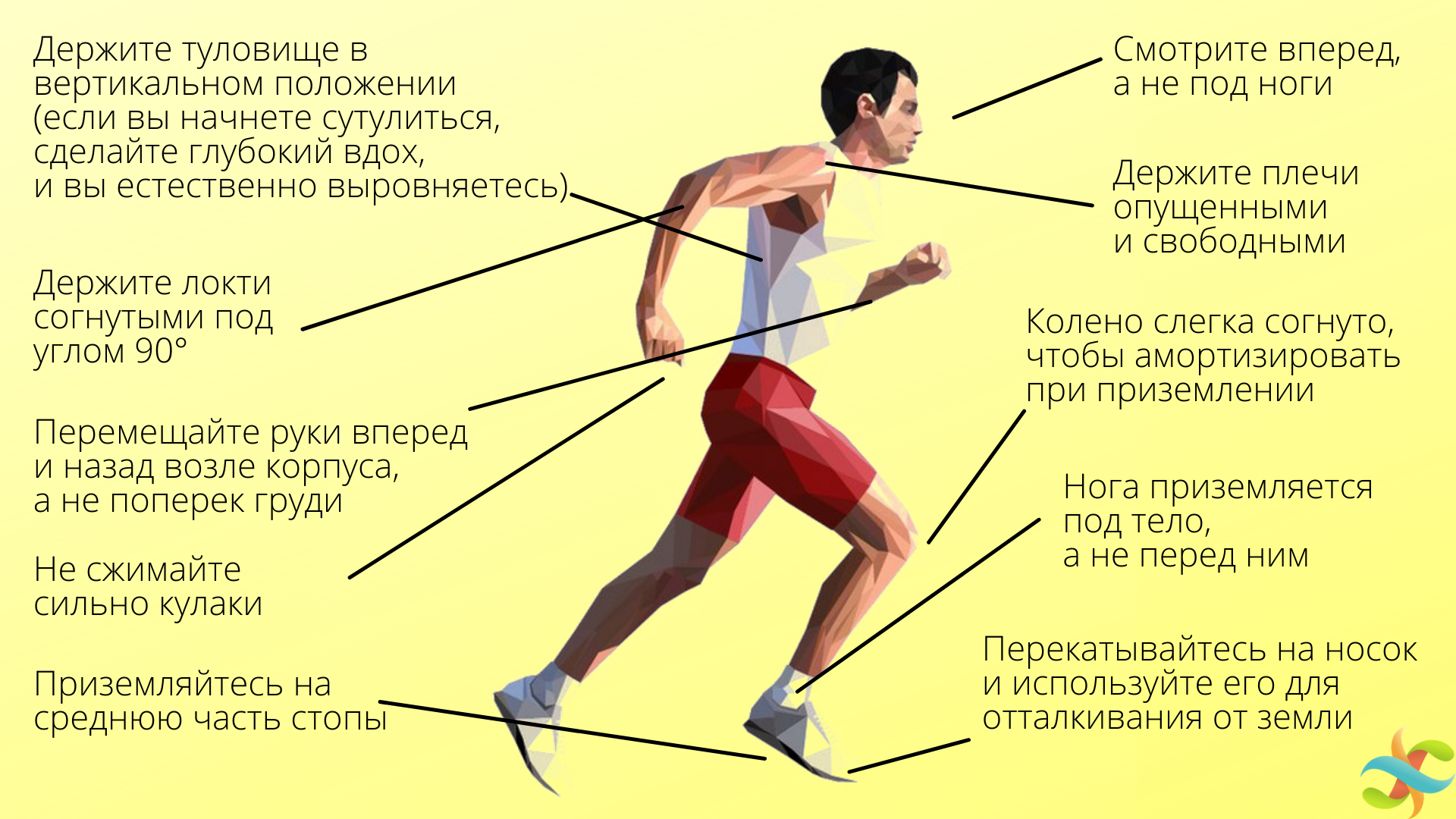 Бегать лучше утром или вечером для похудения. Как правильно бегать. Правильный бег. Правильная техника бега. Как научиться правильно бегать.