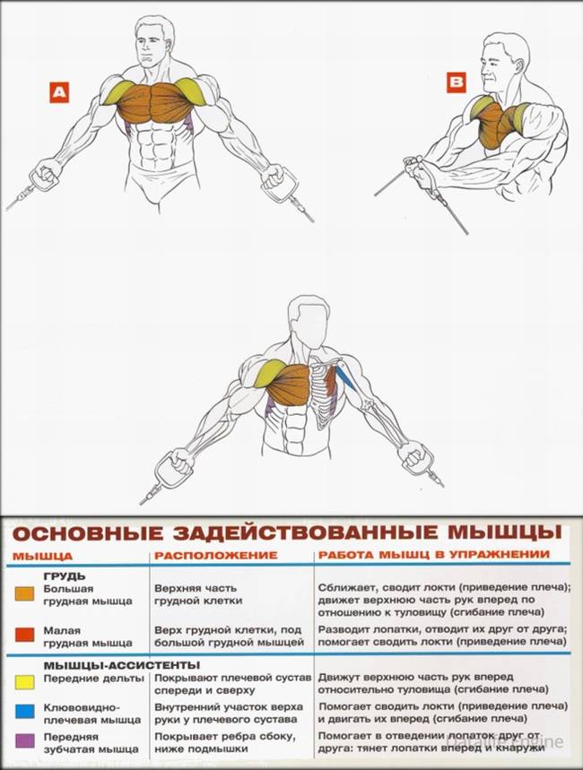 Топ 4 упражнения на грудь со штангой