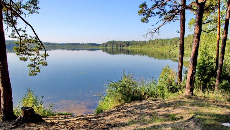 Белое озеро | николаевский район | ульяновская область ульяновсккурорт