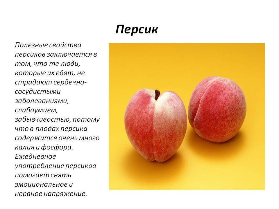 Персики: польза и вред для здоровья, калорийность и пищевая ценность, химический состав, противопоказания