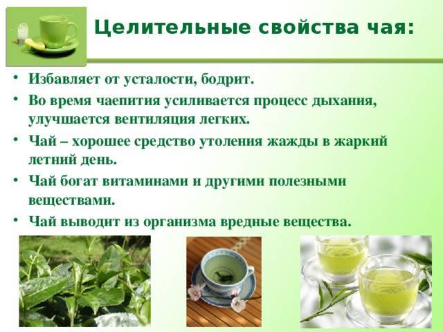 Много пить воды: полезно или нет, вред и польза